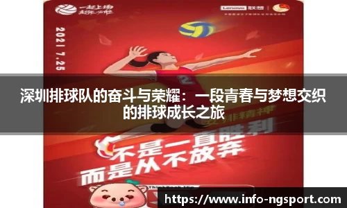 深圳排球队的奋斗与荣耀:一段青春与梦想交织的排球成长之旅